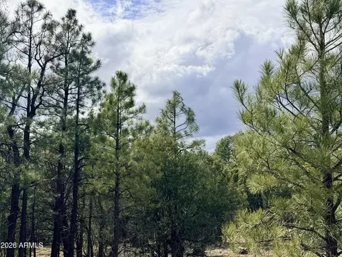 2588 Spoonbill Dr #7, Happy Jack, AZ 86024