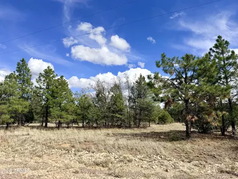 7112 Horizon Cir #101, Happy Jack, AZ 86024