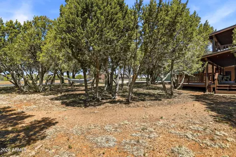 Exterior - 2770 Apollo Cir, Overgaard, AZ 85933 photo 8 of 10
