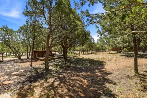 Exterior - 2770 Apollo Cir, Overgaard, AZ 85933 photo 9 of 10