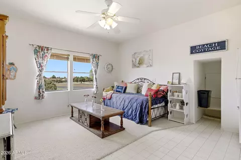 Other - 2770 Apollo Cir, Overgaard, AZ 85933 photo 14 of 15