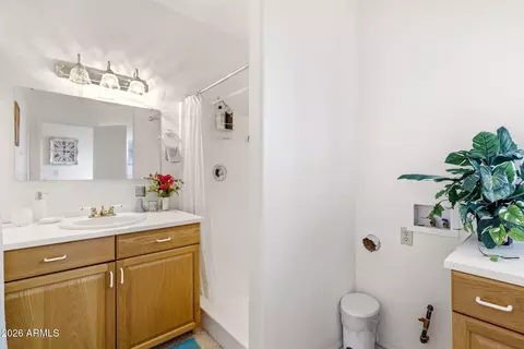 Bath - 2770 Apollo Cir, Overgaard, AZ 85933 photo 4 of 4