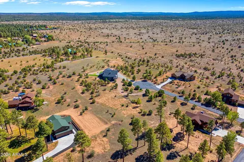 View/Area - 2258 Big Bear Cir, Overgaard, AZ 85933 photo 4 of 5