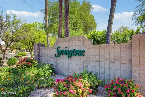 View/Area - 1151 E Shannon St, Gilbert, AZ 85295 photo 1 of 3