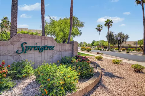 View/Area - 1151 E Shannon St, Gilbert, AZ 85295 photo 3 of 3