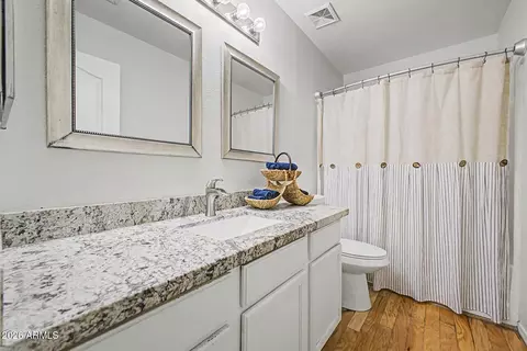 Bath - 9128 E Halifax St, Mesa, AZ 85207 photo 4 of 4
