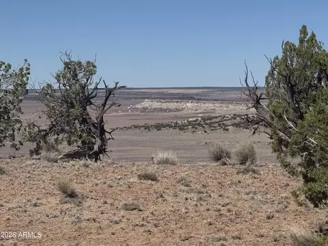 lot96 Bonito Valley Rnch #96, Saint Johns, AZ 85936