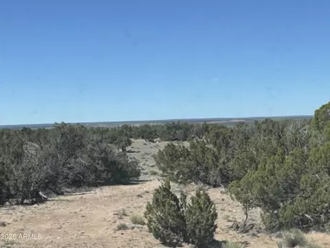 lot96 Bonito Valley Rnch #96, Saint Johns, AZ 85936