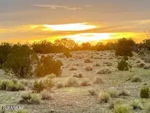 tbd Co Rd N6659 3625 Acres -- #-, Saint Johns, AZ 85936