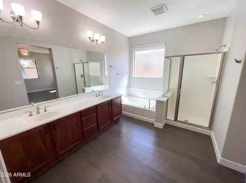 Bath - 4648 S Twinleaf Dr, Gilbert, AZ 85297 photo 1 of 2