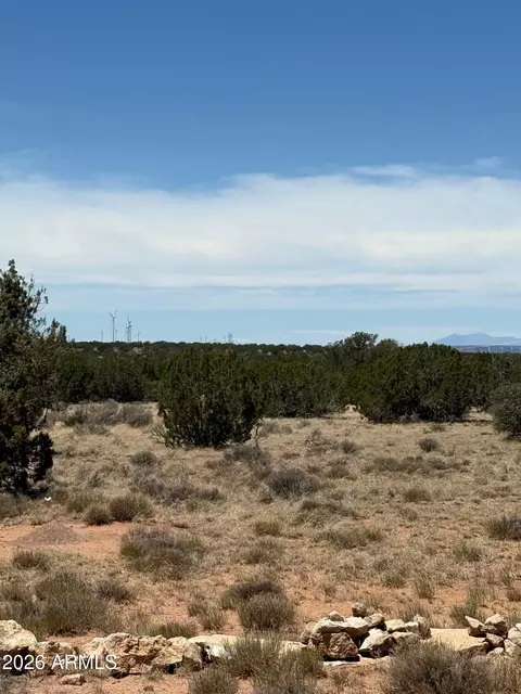 - Section 9,t14n,r16e:n2 Sw4 Nw4 -- #--, Heber, AZ 85928