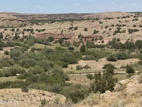 lot95 River Springs Rnch #095, Saint Johns, AZ 85936