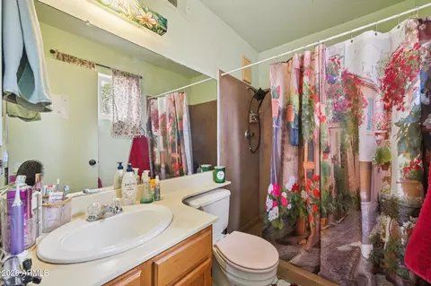 Bath - 723 S Whiting Cir, Mesa, AZ 85204 photo 1 of 2