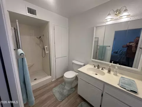 Bath - 4314 E Dragoon Cir, Mesa, AZ 85206 photo 1 of 2
