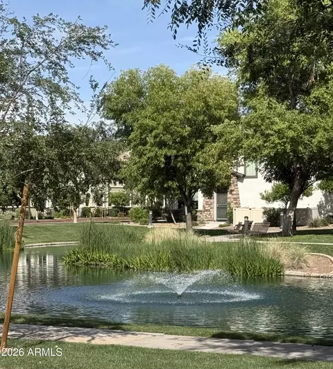 Other - 1725 E Dogwood Ln, Gilbert, AZ 85295 photo 4 of 4