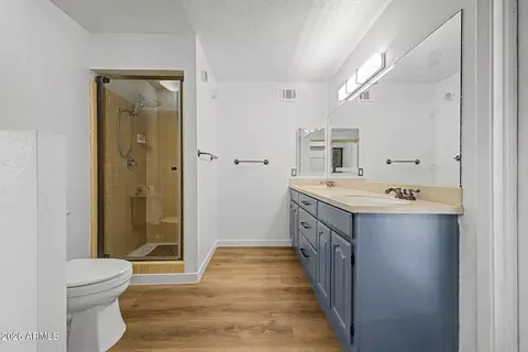 Bath - 2552 E Brown Rd, Mesa, AZ 85213 photo 2 of 4