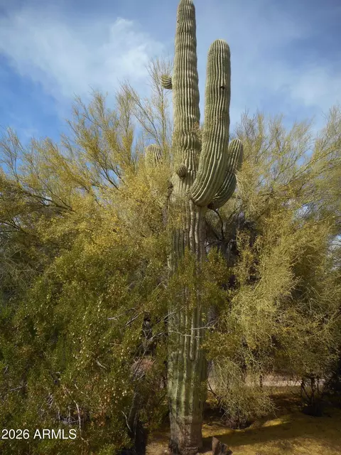 Other - 7614 E Minton Pl, Mesa, AZ 85207 photo 19 of 27