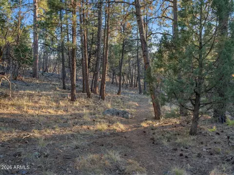 1005 W Park Way, Williams, AZ 86046 photo 55
