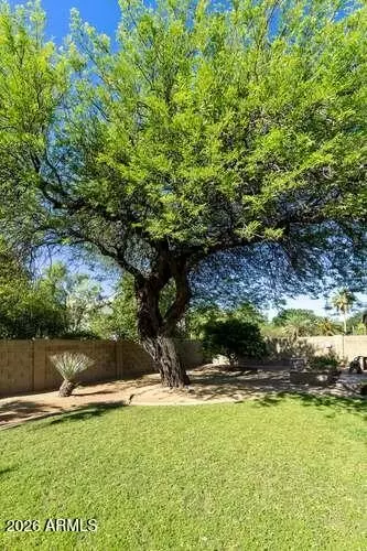 Exterior - 2519 Encinas Ave, Gilbert, AZ 85234 photo 11 of 18