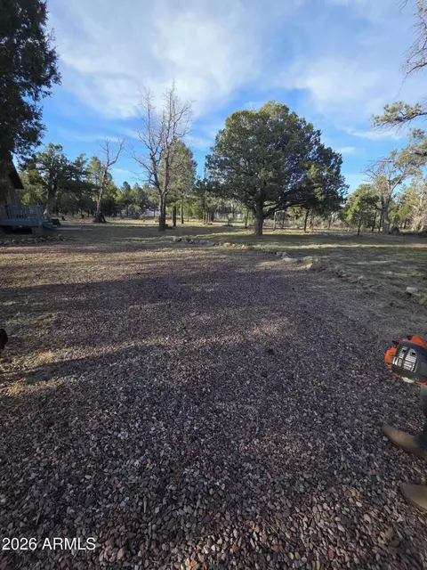 5823 Cougar Dr, Happy Jack, AZ 86024