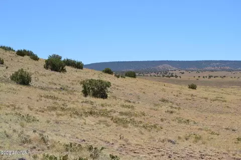 lot863 Acr N8497 -- #863, Concho, AZ 85924