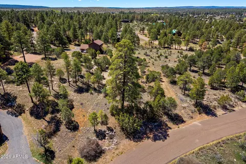 2795 Skyhawk Dr #85, Overgaard, AZ 85933 photo 9