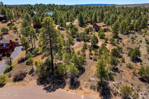 2795 Skyhawk Dr #85, Overgaard, AZ 85933 photo 10