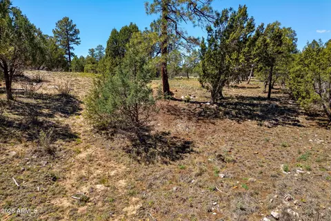 2795 Skyhawk Dr #85, Overgaard, AZ 85933 photo 15