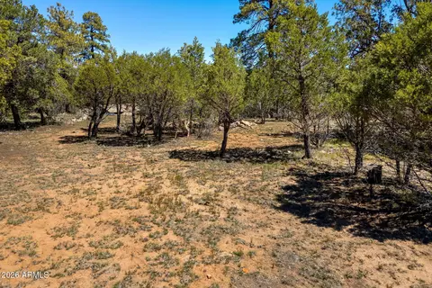 2795 Skyhawk Dr #85, Overgaard, AZ 85933 photo 14