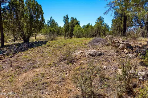2795 Skyhawk Dr #85, Overgaard, AZ 85933 photo 16