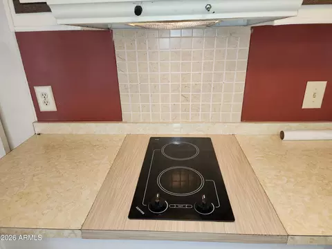 208 E Hedge Dr, Florence, AZ 85132 photo 11