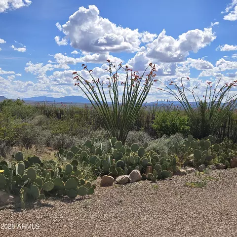 Exterior - 995 S Ruby Dare Rd, Bisbee, AZ 85603 photo 7 of 20