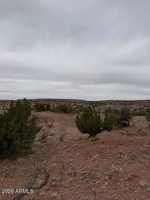 N6124 N N6124 -- #202-44-022, Saint Johns, AZ 85936