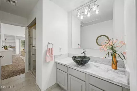 Bath - 1700 E Lakeside Dr #63, Gilbert, AZ 85234 photo 5 of 5