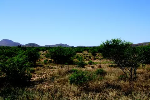 38 67 Acre Lydy Ave #39, Pearce, AZ 85625 photo 27