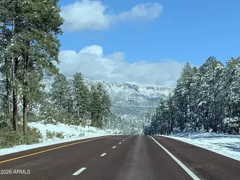 Other - 131 E Jackshoe Trl, Payson, AZ 85541 photo 10 of 11