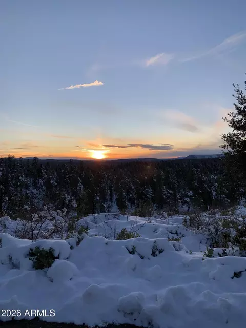 Other - 131 E Jackshoe Trl, Payson, AZ 85541 photo 11 of 11
