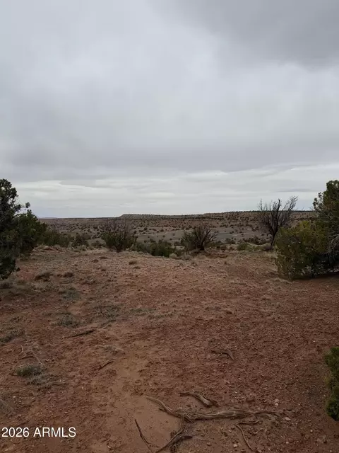 N6124 N N6124 -- #20245008, Saint Johns, AZ 85936