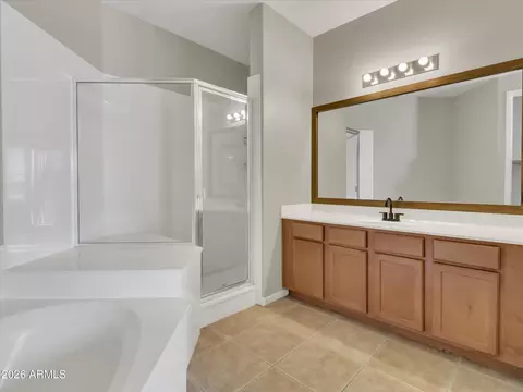 Bath - 4613 E Culver St, Phoenix, AZ 85008 photo 2 of 5