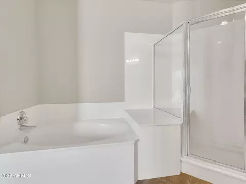 Bath - 4613 E Culver St, Phoenix, AZ 85008 photo 3 of 5