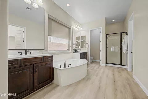 Bath - 2937 E Longhorn Dr, Gilbert, AZ 85297 photo 3 of 4
