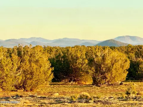 9023 Appaloosa Trl Lot B 5 Acres -- #-, Show Low, AZ 85901