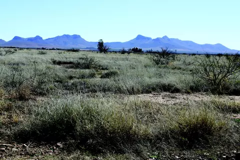 1 N 38 Acres N San Louis Rey Dr #305, Douglas, AZ 85607