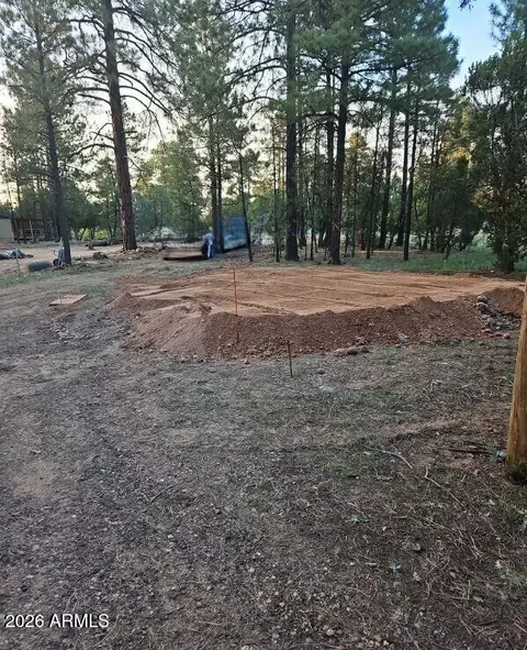 2890 Pine Rim Rd #-, Overgaard, AZ 85933