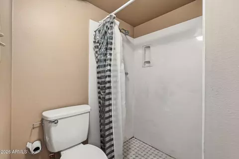 Bath - 1927 E Hampton Ave #221, Mesa, AZ 85204 photo 2 of 3