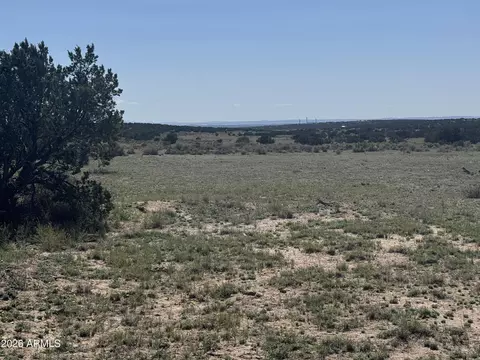 lot531 Woodland Valley Rnch #531, Saint Johns, AZ 85936