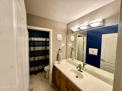 Bath - 11245 E Pratt Ave, Mesa, AZ 85212 photo 1 of 4