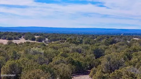 9023 Appaloosa Trl Lot D 10 Acres -- #-, Show Low, AZ 85901