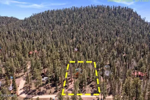 Other - 6 County Road 2042 --, Alpine, AZ 85920 photo 10 of 12