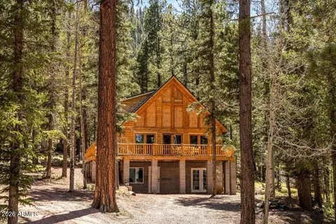 Exterior - 6 County Road 2042 --, Alpine, AZ 85920 photo 2 of 6